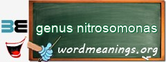 WordMeaning blackboard for genus nitrosomonas